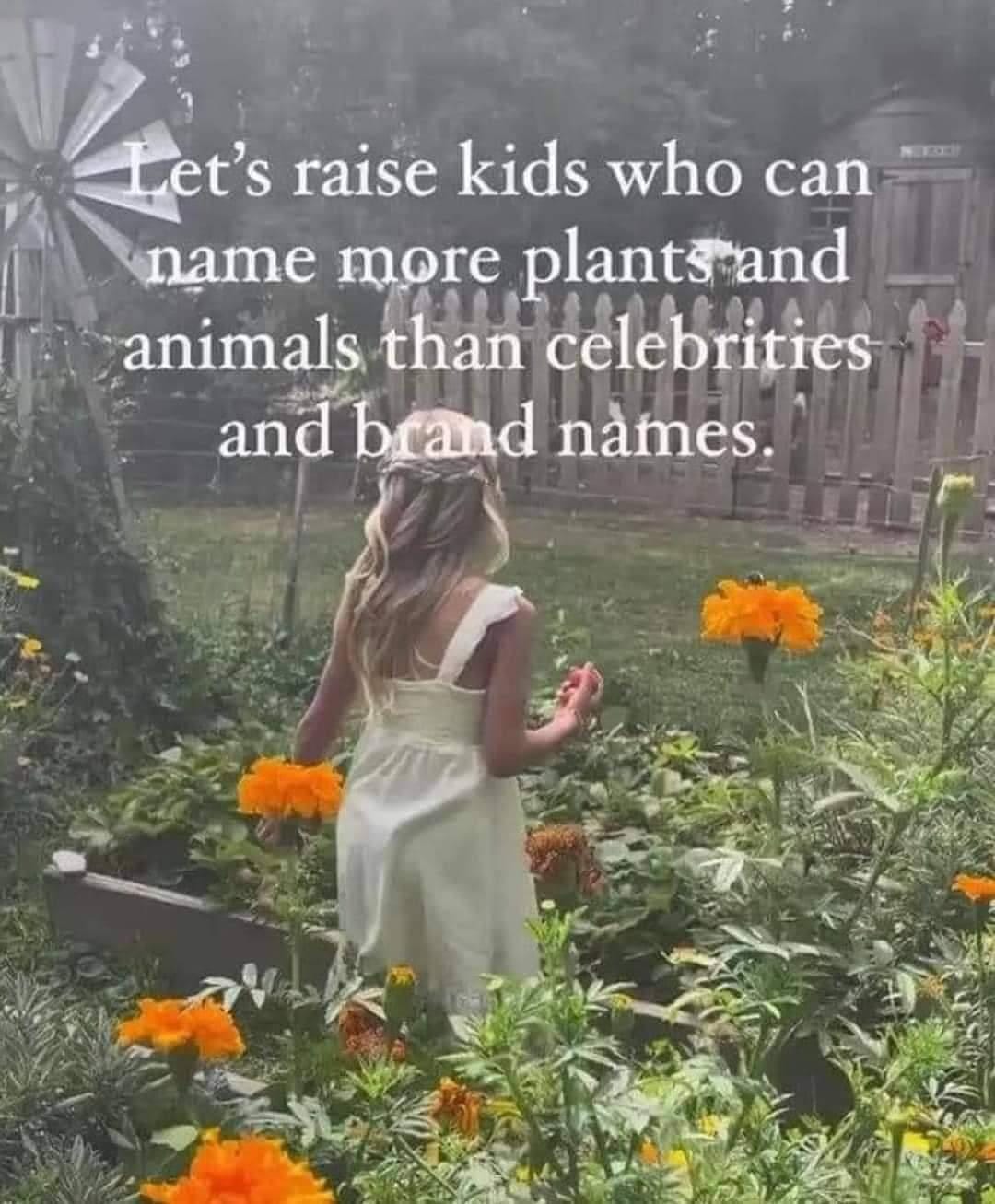 Educație și valori